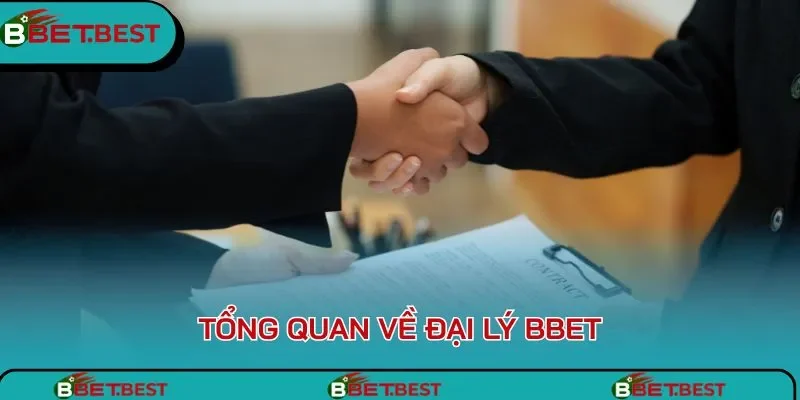 Tổng quan về đại lý BBet