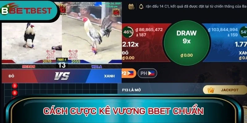 Cách cược Kê Vương BBet chuẩn
