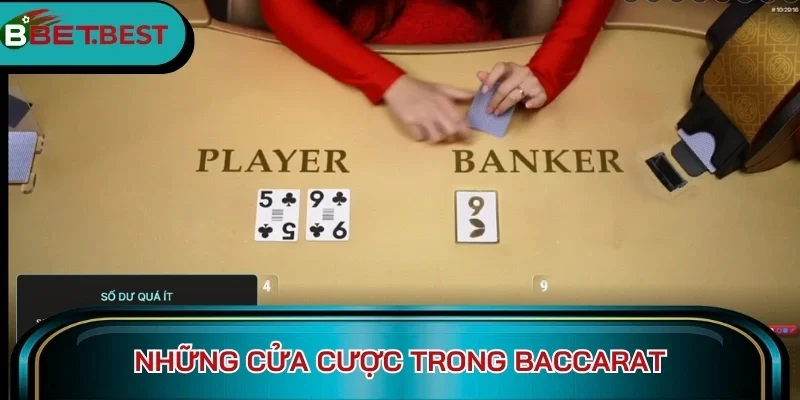 Những cửa cược trong Baccarat