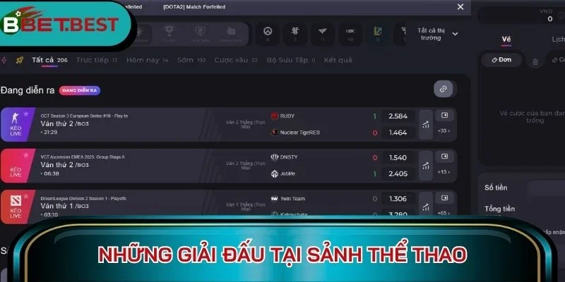 Những giải đấu tại sảnh thể thao