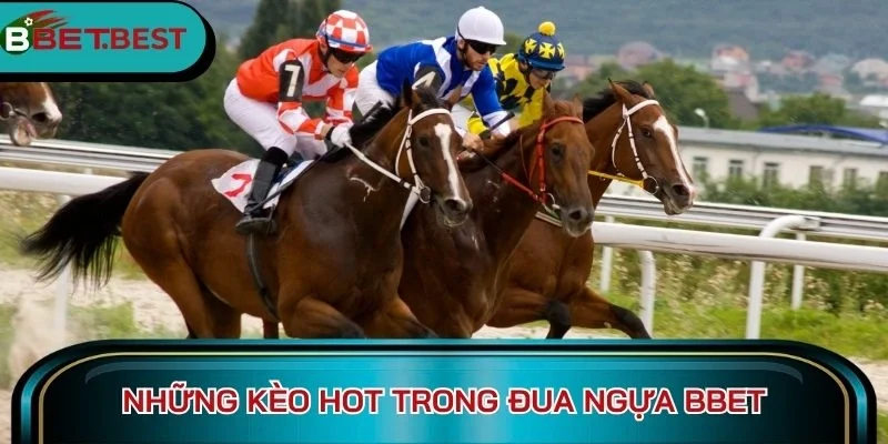 Những kèo hot trong đua ngựa BBet