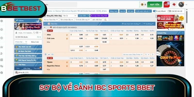 Sơ bộ về sảnh IBC Sports BBet