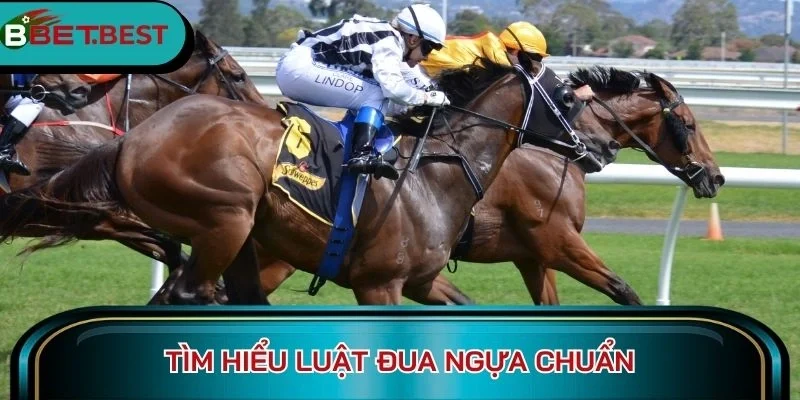Tìm hiểu luật đua ngựa chuẩn