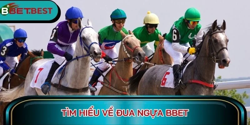 Tìm hiểu về đua ngựa BBet