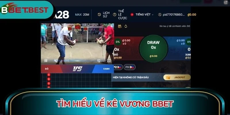 Tìm hiểu về Kê vương BBet
